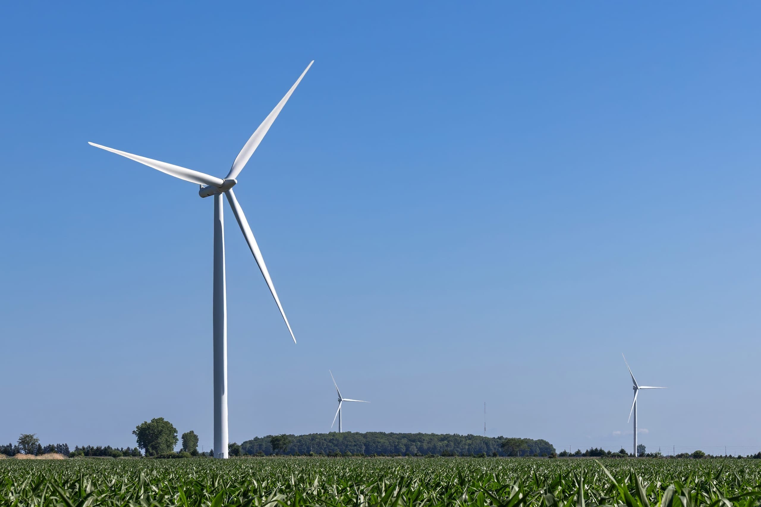 Wind turbines along North Middle Road, Essex County, Ontario, 2025-06-29.jpg
